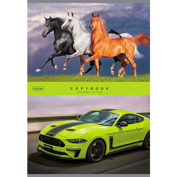 Тетрадь 80л А4ф клетка на скобе глянц. ламинация серия  -Luxury style- , 